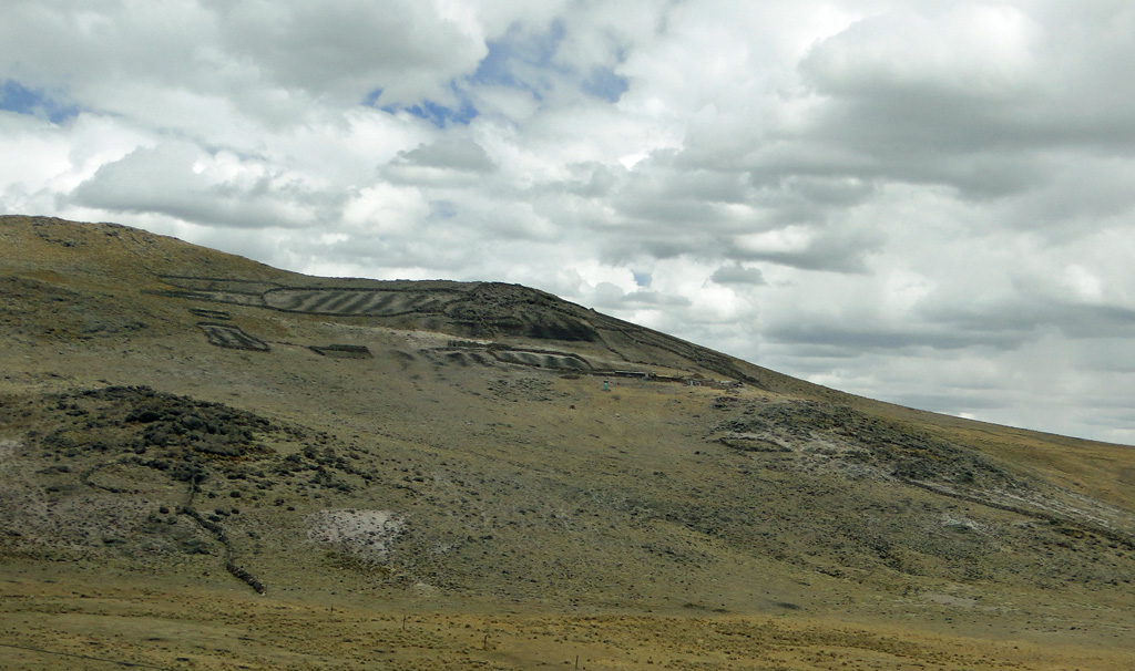 Enclos pour lamas dans la montagne