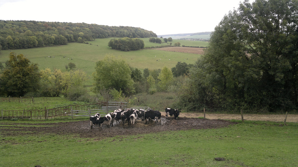 La campagne à Vroncourt