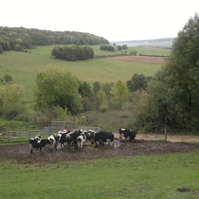 La campagne à Vroncourt
