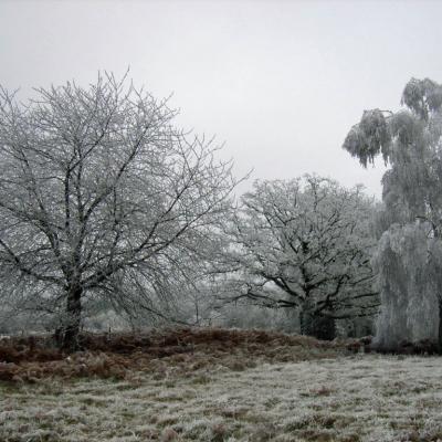 202001-Le-givre