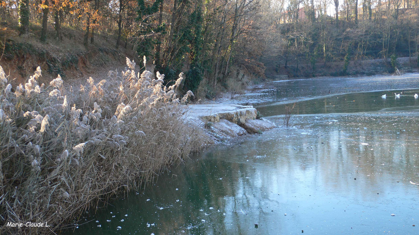 202001g8-Le-givre