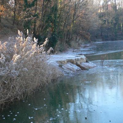 202001g8-Le-givre