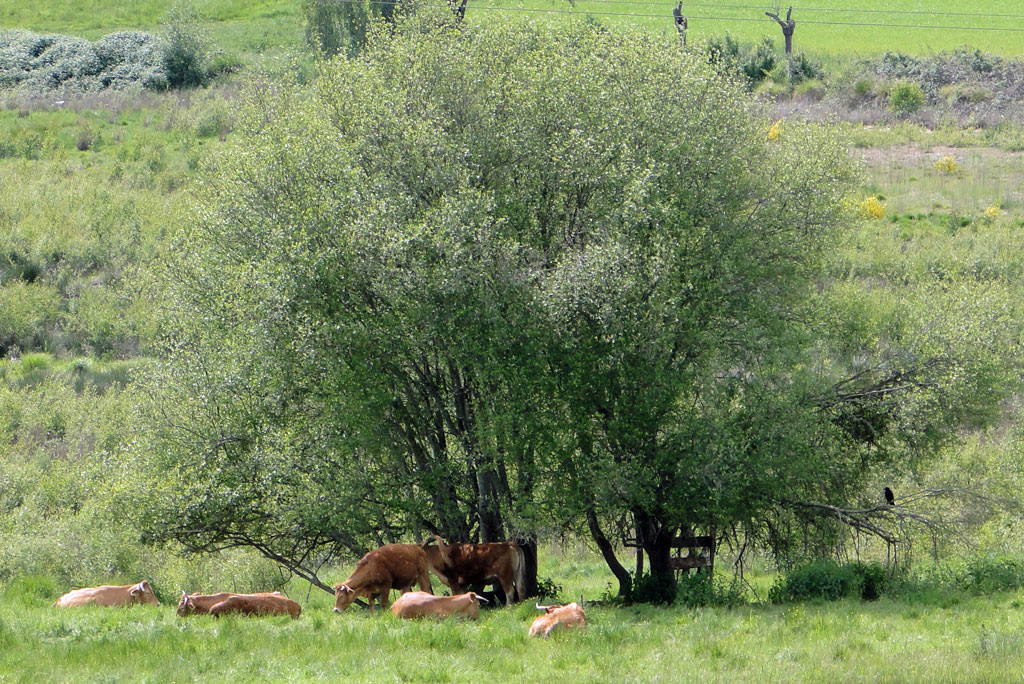 25mai