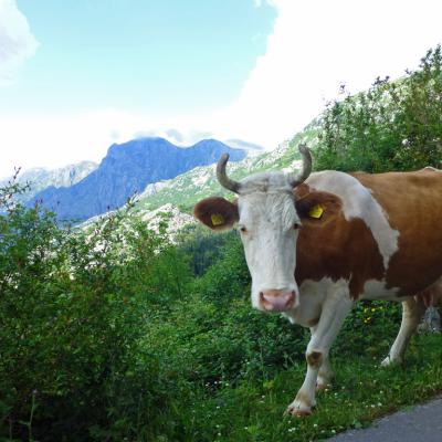 un 18-mai sur la-route-Serpentine en Croatie