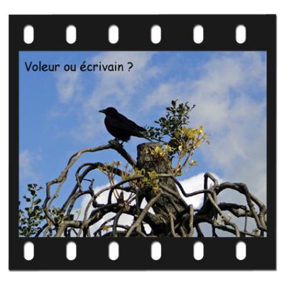 Maitre corbeau voleur ou écrivain ?