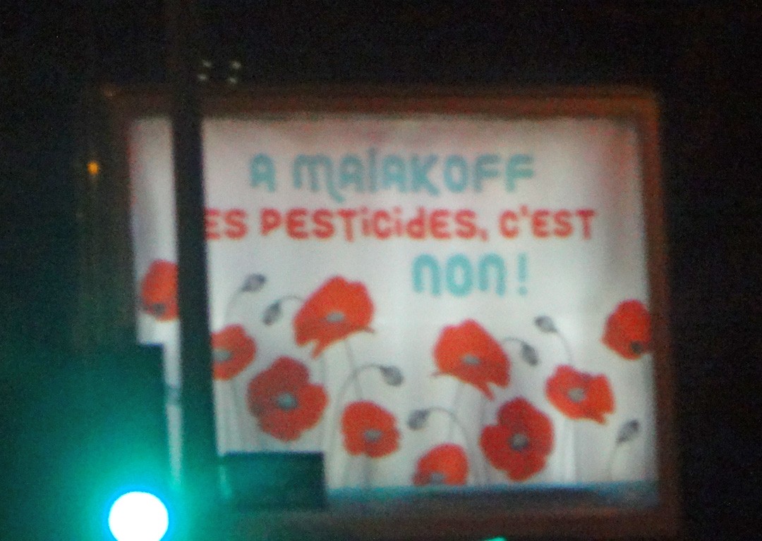 Affiche coquelicots