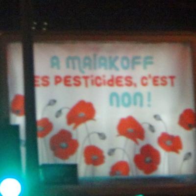 Affiche coquelicots