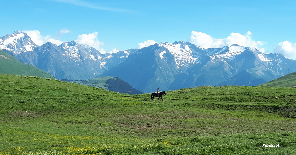 AlpedHuez03