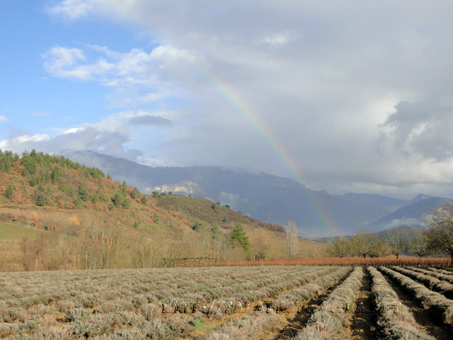 Campagne drômoise