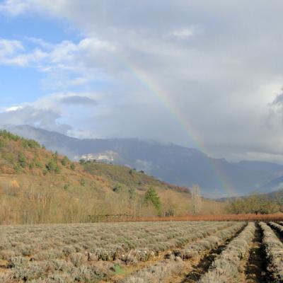 Campagne drômoise