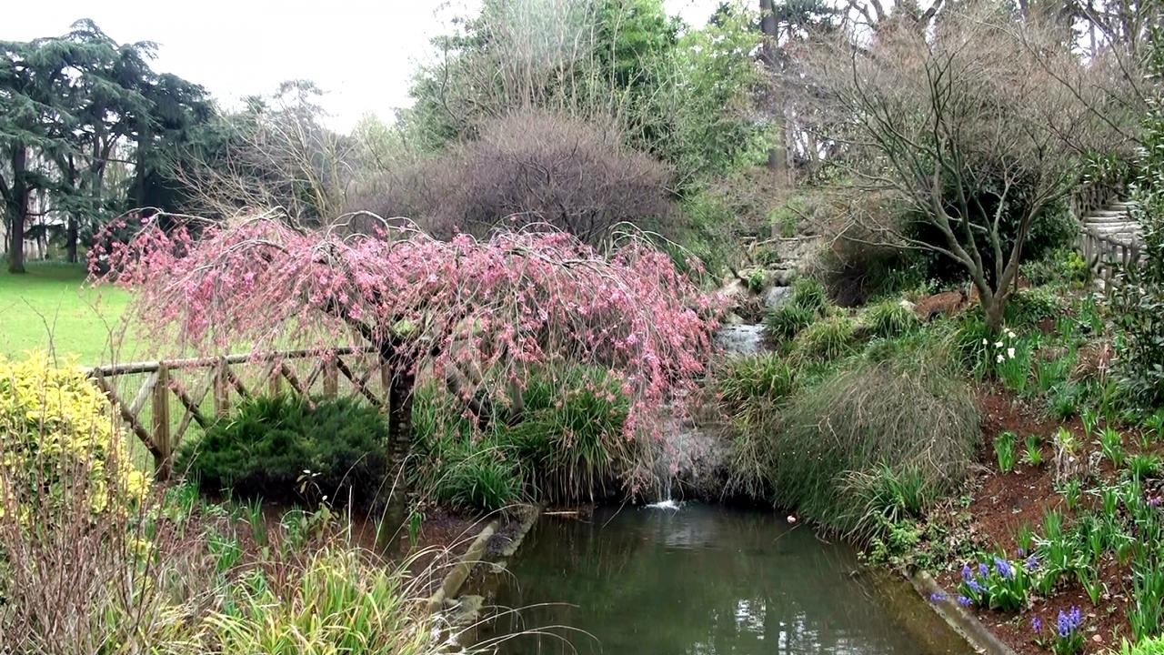 Au parc Montsouris