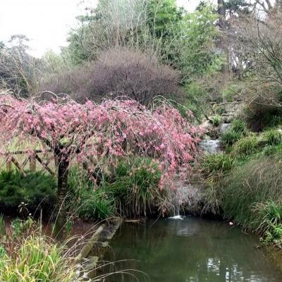 Au parc Montsouris