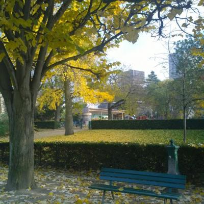 automne parc de Choisy2