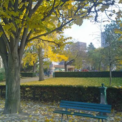 automne-parc-de-Choisy2