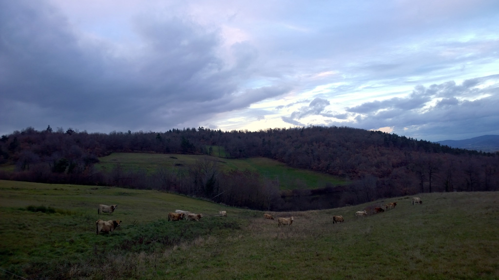 auvergne