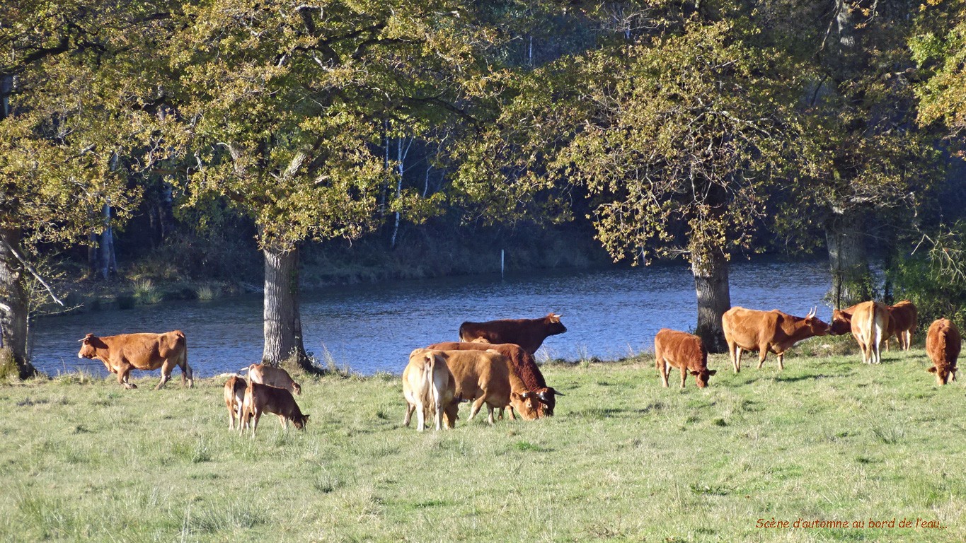 Baiser d'automne