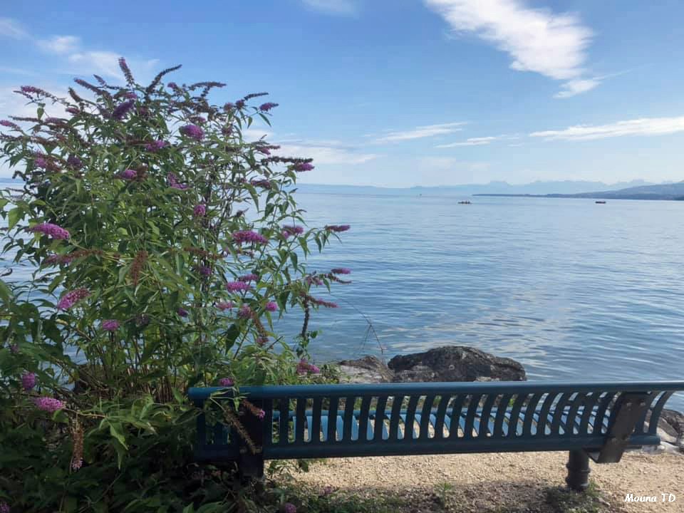 Banc Léman