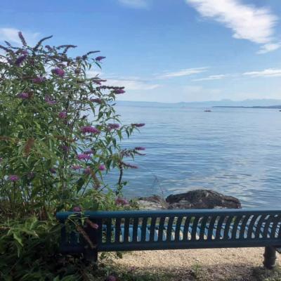 Banc Léman