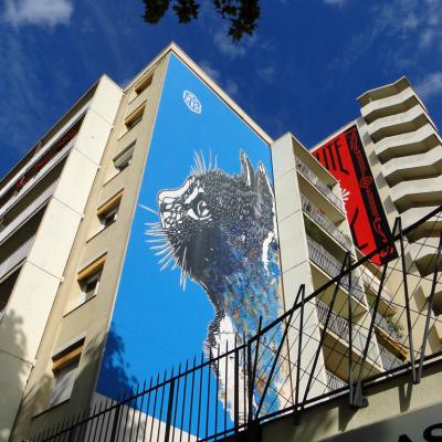 C215 Chat Nationale 01072016ph3