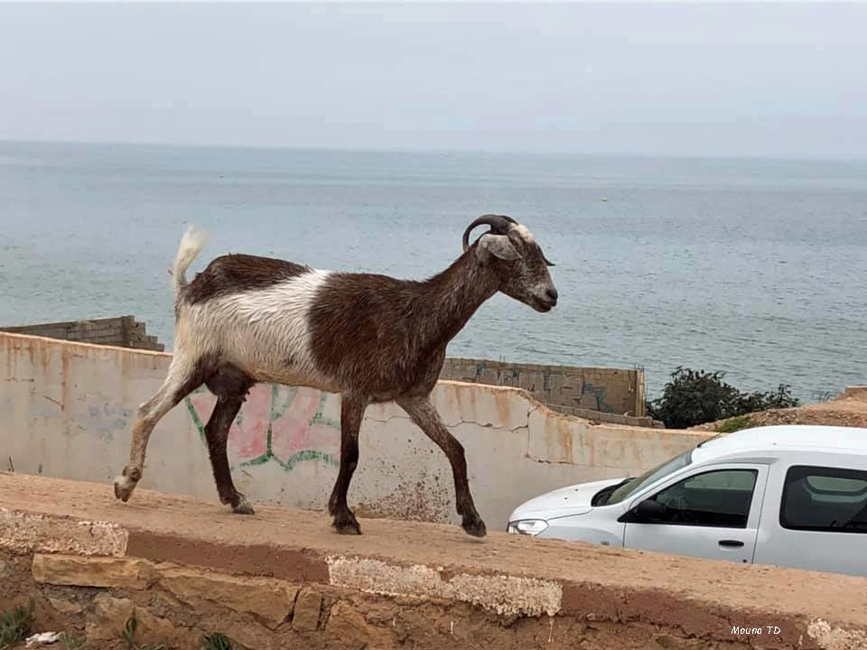 Bord de mer