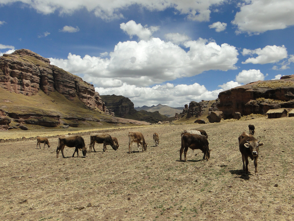 canyon-de-Tinajani1