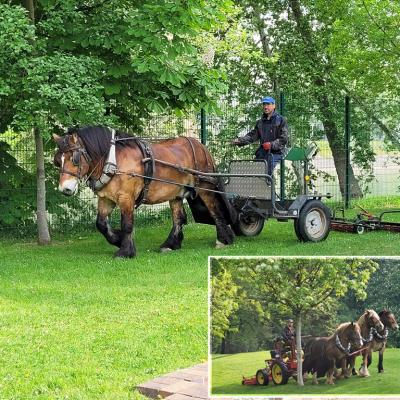 Chevaux attelés2