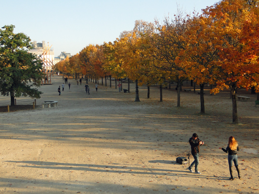 Cheveux d'automne