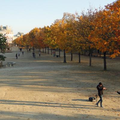 Cheveux d'automne