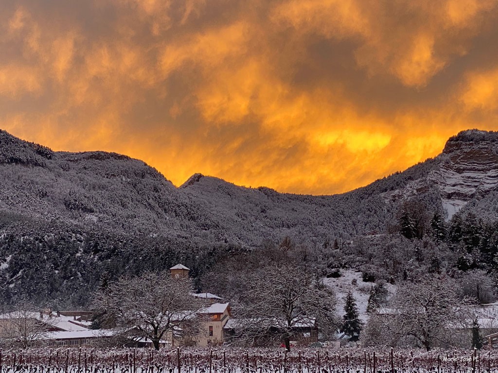 202102-Ciel d'hiver au lever ou coucher du soleil-ex-aequo