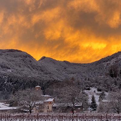 202102-Ciel d'hiver au lever ou coucher du soleil-ex-aequo