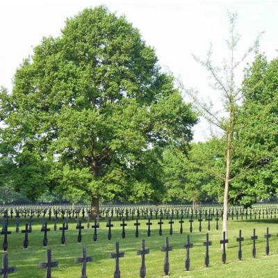 cimetière1b