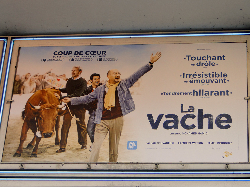 vache et cinéma