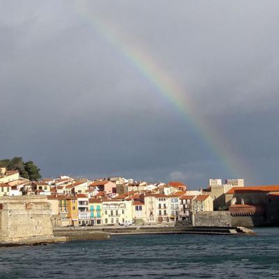 Collioure-MJ0117H1011b