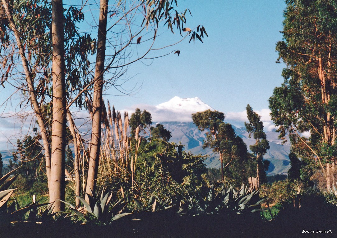 Cotopaxi2