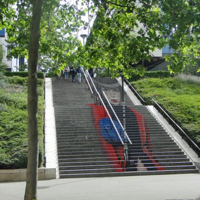 Dame-escalier