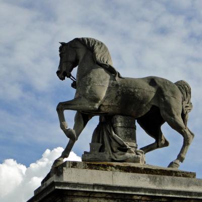 Le cheval du guerrier romain