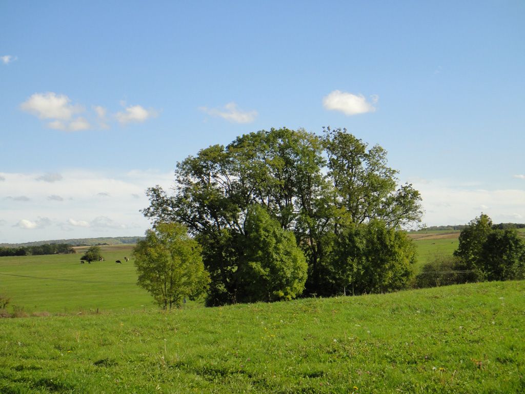 Emplacement château