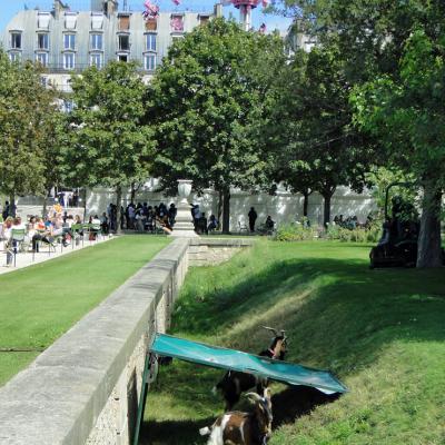 Tuileries6