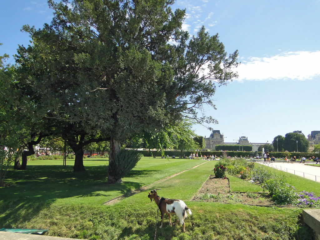 Tuileries5