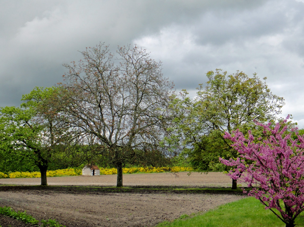 Près de la Jalterie