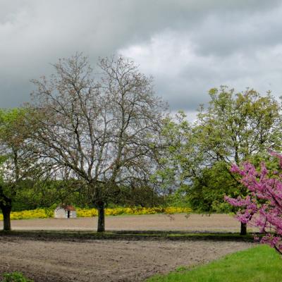 Près de la Jalterie