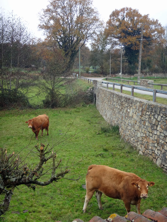 Bonjour voisine