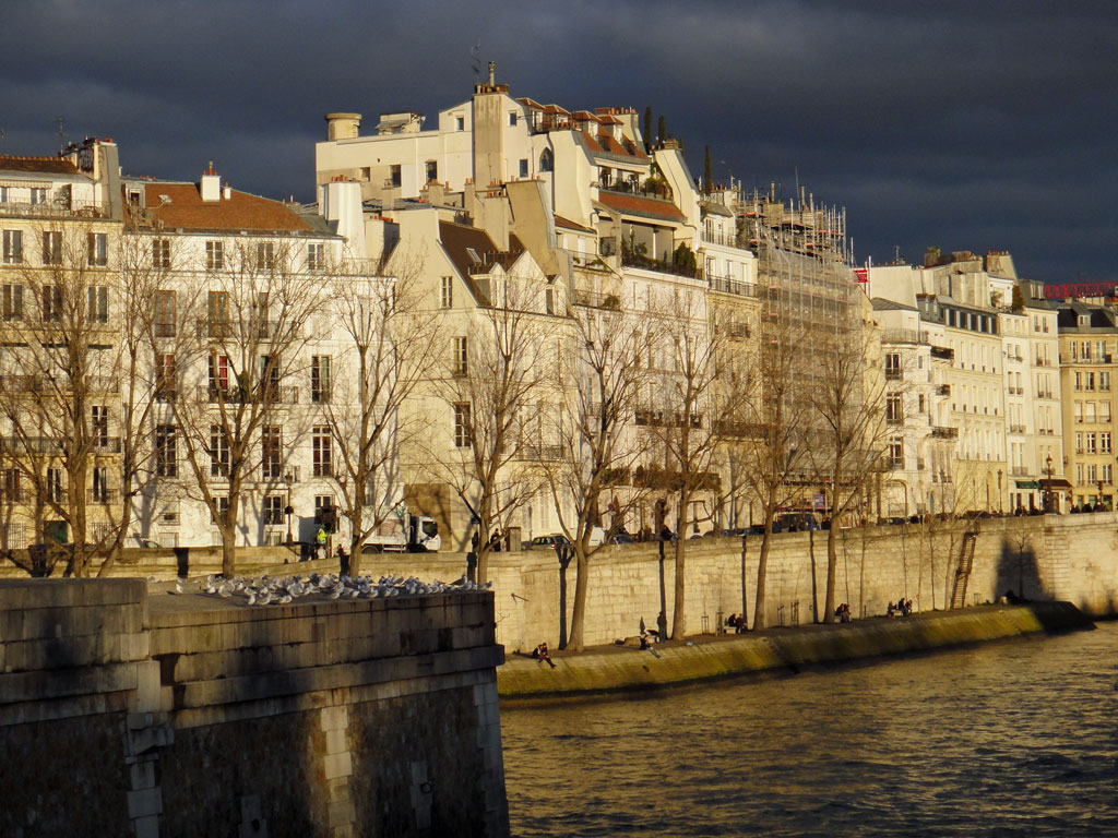 Ile de la cité