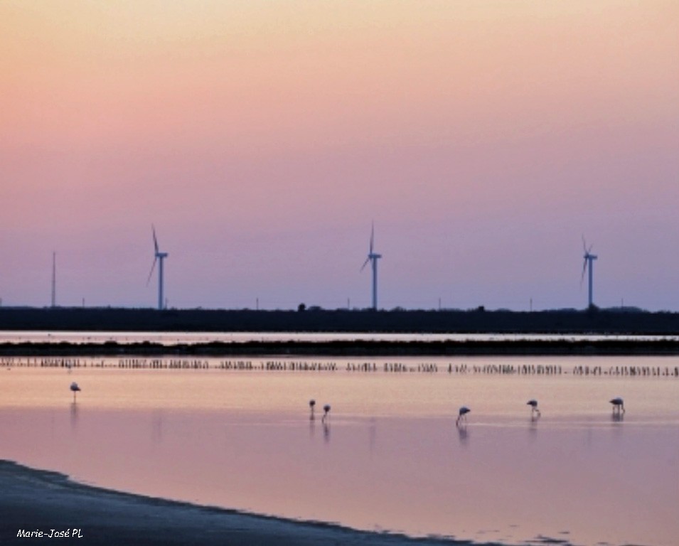 éol-Camargue