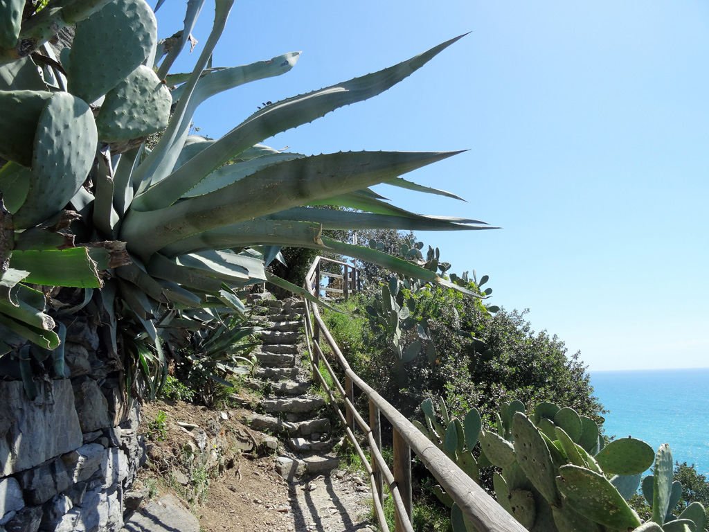 Cinque Terre