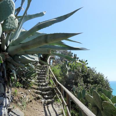 Cinque Terre