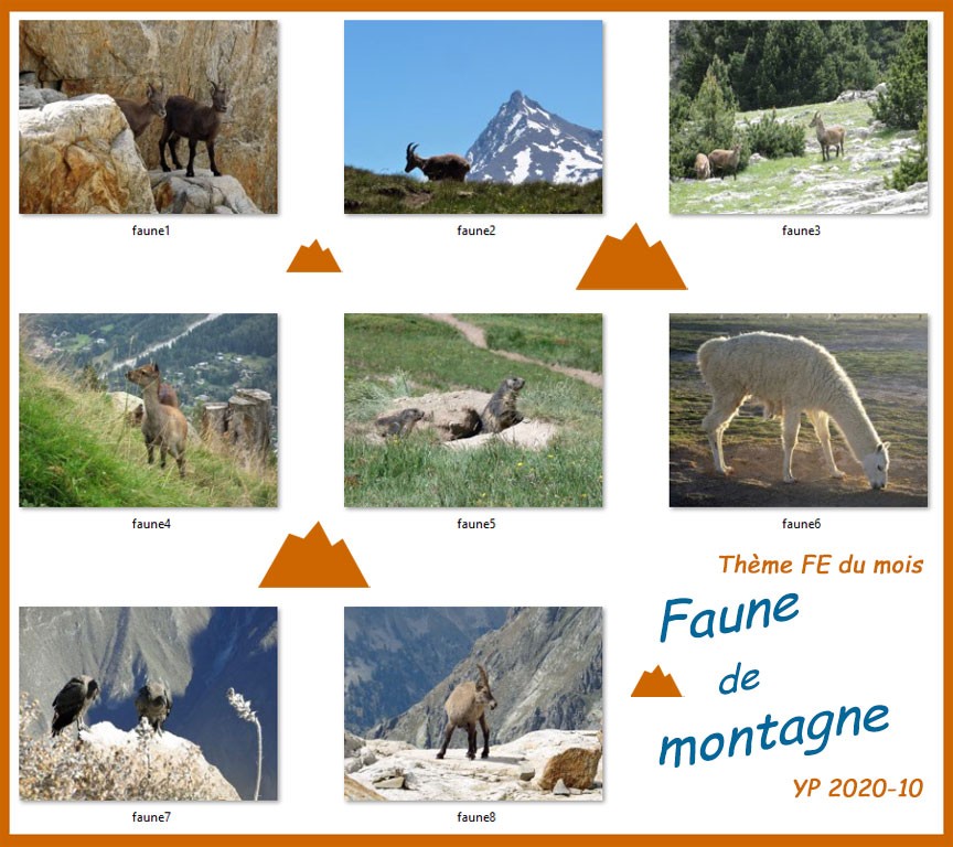 Faune8en9