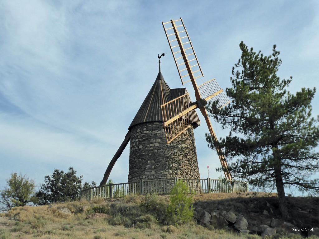 Félines-Minervois