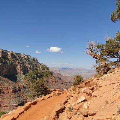 Grand-canyon-16