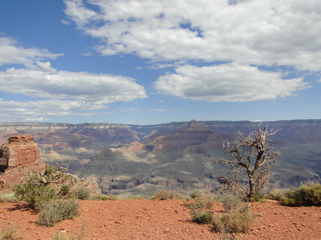 Grand-canyon-17